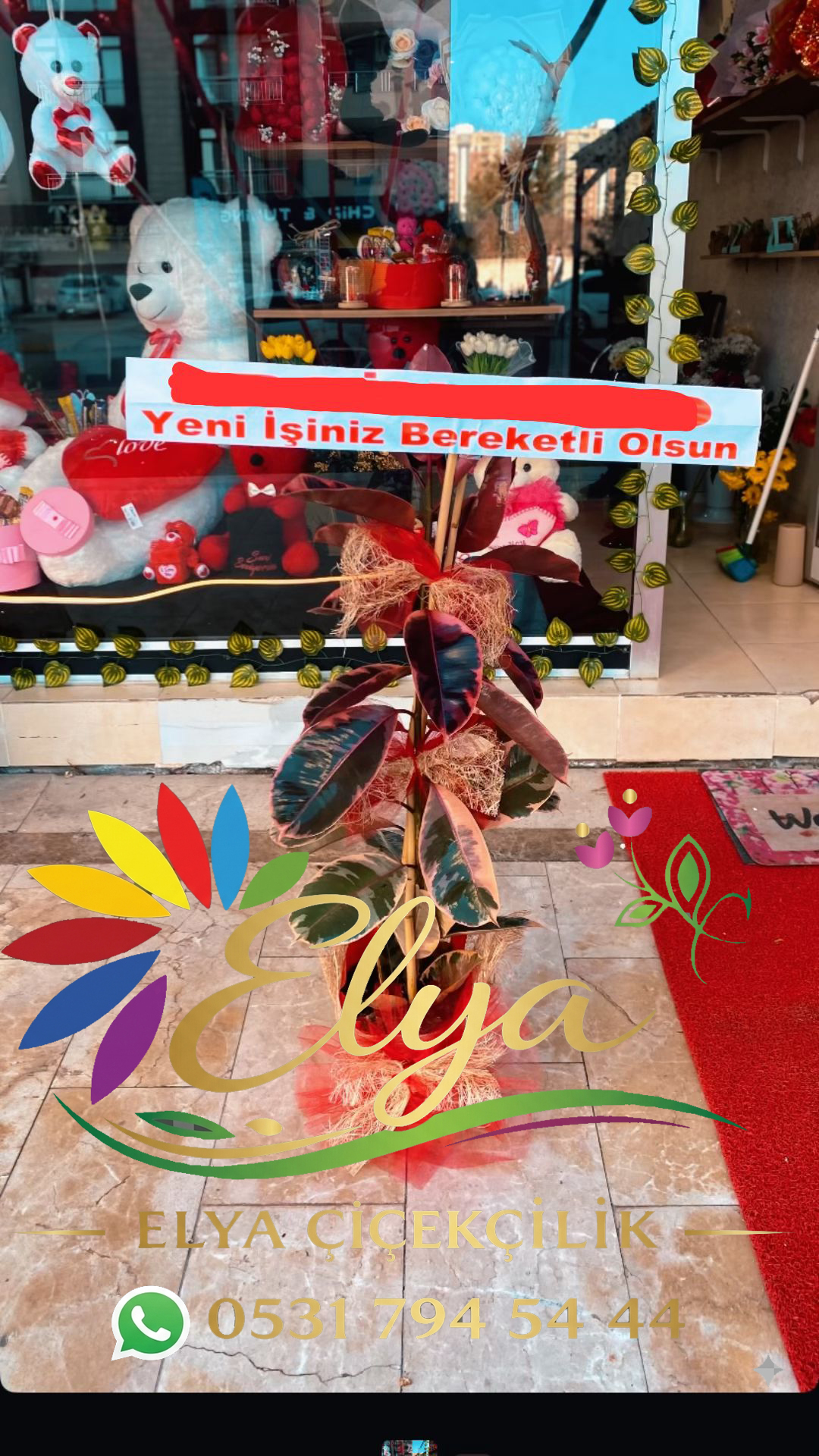 Alaca Pembe Kauçuk: Yapraklarda Renk Karnavalı